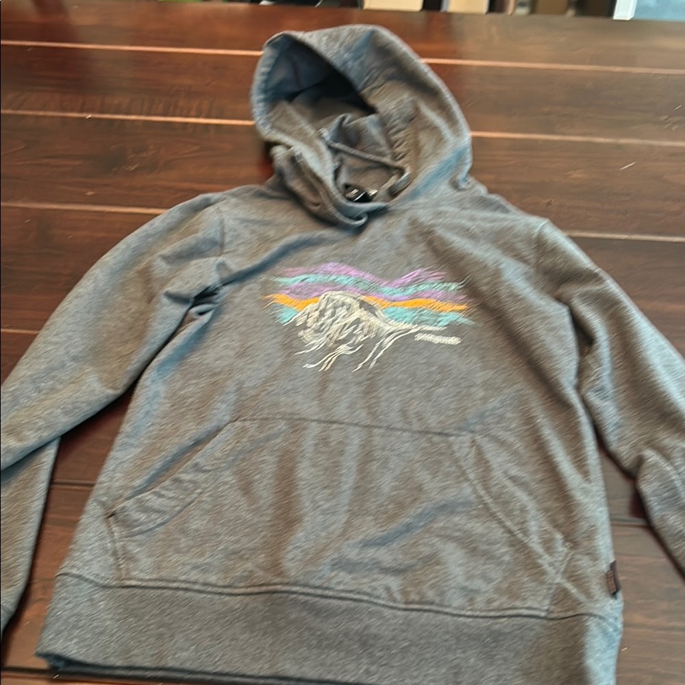 Patagonia women’s Gray Graphic Hoodie